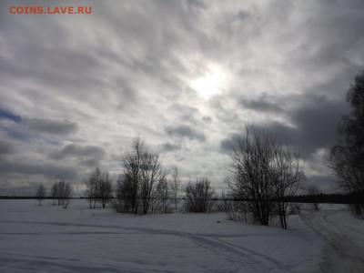 ФОТО - просто фото. Те что получились удачными. - IMG-20210228-WA0010