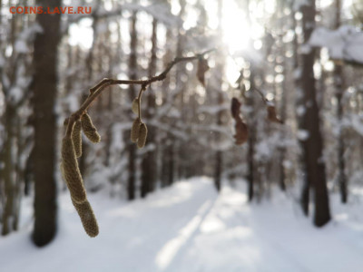 ФОТО - просто фото. Те что получились удачными. - IMG-20210222-WA0006