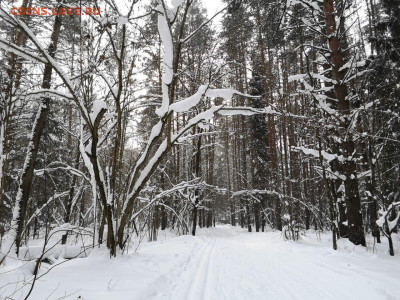 ФОТО - просто фото. Те что получились удачными. - IMG-20210222-WA0008