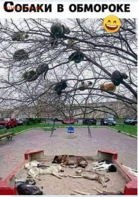 юмор - Безымянный