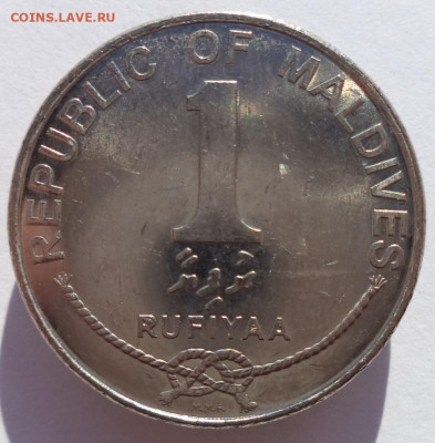 1 руфия 2007 г. МАЛЬДИВЫ до 15.03.21 в 22:00 МСК - IMG_20210217_174445