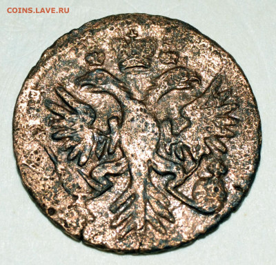 Денга 1731 год орел с шипами на лапах - нужна консультация - _DSC4701.JPG