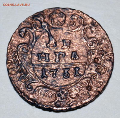 Денга 1731 год орел с шипами на лапах - нужна консультация - _DSC4707.JPG