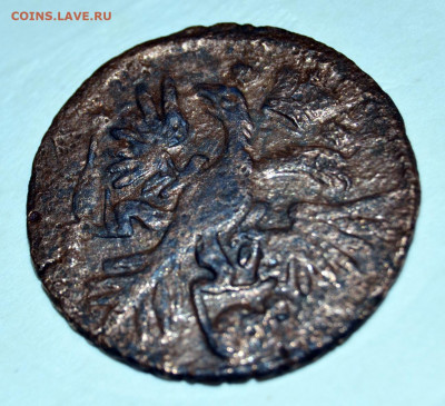Денга 1731 год орел с шипами на лапах - нужна консультация - 3.JPG
