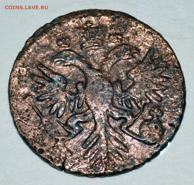 Денга 1731 год орел с шипами на лапах - нужна консультация - 4.JPG