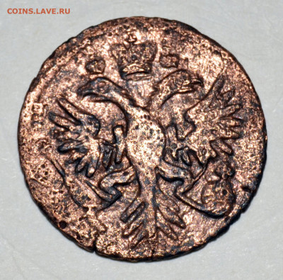 Денга 1731 год орел с шипами на лапах - нужна консультация - 1.JPG
