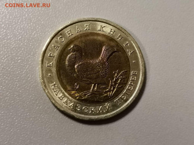 50р 1993г Кр.книга- Кавказ. тетерев, до 21.03 - ЧК Тетерев-1