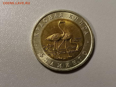 50р 1994г Кр.книга- Фламиинго, до 21.03 - ЧК Фламинго-1