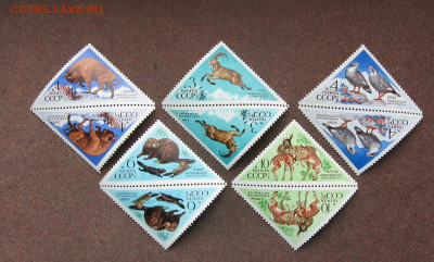 СССР. Заповедники ( тет-беш) до 22.00  20.03.21 - IMG_0102.JPG