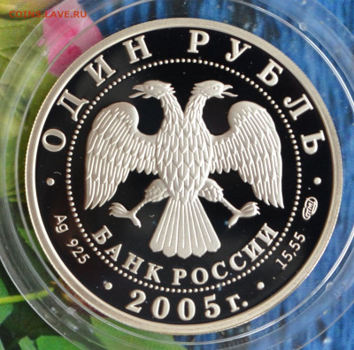 2 рубля КК 2005 - DSC_0175.JPG