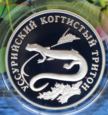 2 рубля КК 2006 год 2 монеты - DSC_0212.JPG