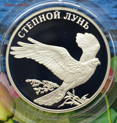 2 рубля КК 2007 год 2 монеты - DSC_0239.JPG