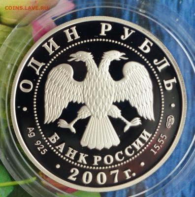 2 рубля КК 2007 год 2 монеты - DSC_0237.JPG