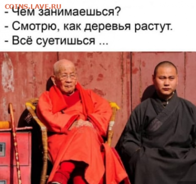 юмор - Дзен.PNG
