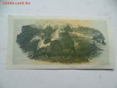Чек талон Татарстан-90е лошади. до20.03.21г. В22-00 МСК - SAM_8672.JPG