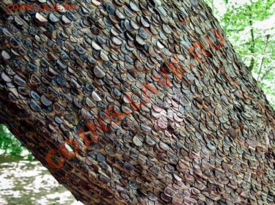 Денежное дерево. Возможно уже было (не для слабонервных). - moneytree_03