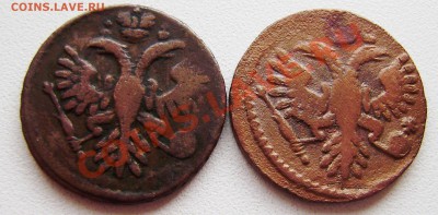 Денга - 31 шт. (с 1730-1751г.) - P9150006.JPG
