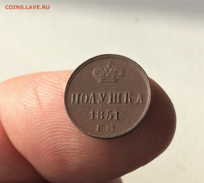 полушка Николая1 1851г ЕМ (А68) 19.03 - LhUlD4xri3o
