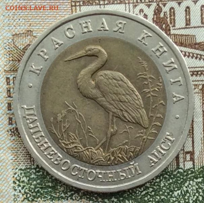 Красная Книга 1993г 50руб АИСТ  до 20.03.21г - IMG_8871.JPG
