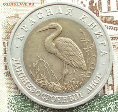 Красная Книга 1993г 50руб АИСТ  до 20.03.21г - IMG_8870.JPG