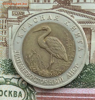 Красная Книга 1993г 50руб АИСТ  до 20.03.21г - IMG_8869.JPG