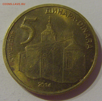 5 динар 2014 Сербия №1 23.03.21 22:00 М - CIMG4074.JPG