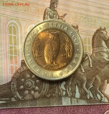 Красная книга. 5 рублей 1991 года. Филин до 21.03 - IMG_4236.JPG