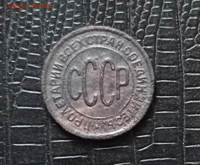 ПОЛ копейки 1928 г. короткий - IMG_20210318_193642