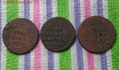 Полушки 1749, 1735 и 1737 гг до 23.03.2021 в 22 Мск - 20210317_134711 а