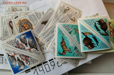 ЛОТ ЧИСТЫХ МАРОК, ЛИСТОВ И БЛОКОВ СССР - марки5