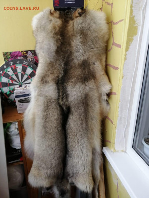 Ковёр из шкуры волка.25.03 22-00 - WhatsApp Image 2021-01-31 at 14.49.25