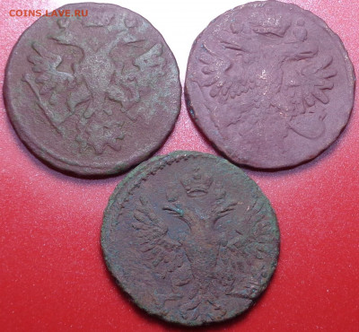 Деньга 1738,39,50 года ( 3 шт.). До 23.03.2021 - DSC08405.JPG