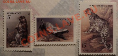 Марки СССР.Фауна.Серии!!! - DSC00415.JPG