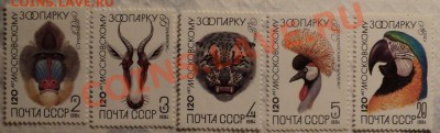 Марки СССР.Фауна.Серии!!! - DSC00419.JPG