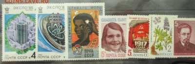 Бонус - IMG_9342.JPG