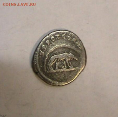 Помощь в определении - IMG_20210323_084804_655