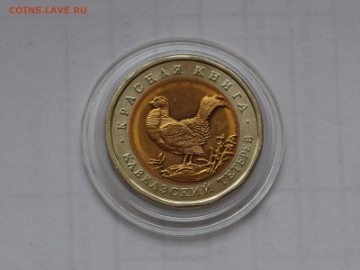 50 р. КК Тетерев 1993 г. до 28.03.21 г до 22-00 по Мсв. - P3230116.JPG
