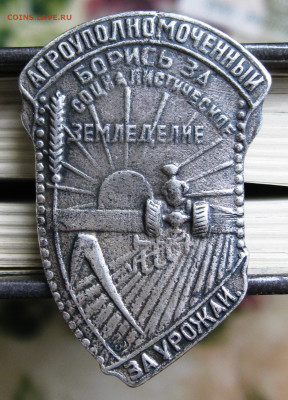 Знак Агроуполномоченного, определение подлинности и оценка - IMG_9863.JPG