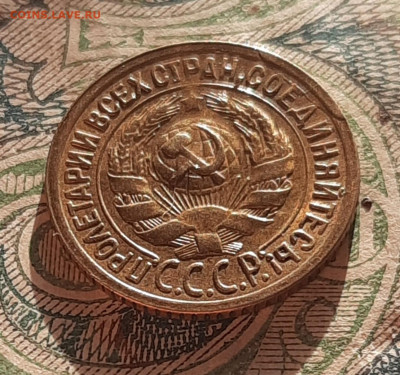 1 копейка 1929г.Оценка. - 20210325_171433