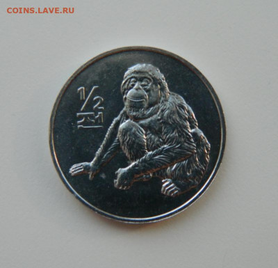 2 чона 2002 г.(Юбилейная) Фауна до 31.03.21 - DSCN7784.JPG