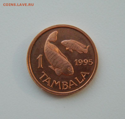 Малави 1 тамбала 1995 г. (Фауна) до 31.03.21 - DSCN7827.JPG