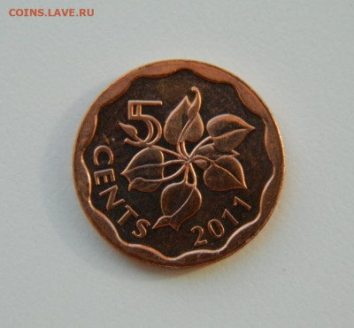 Свазиленд 5 центов 2011 г. (без обращения). до 31.03.21 - DSCN7861.JPG