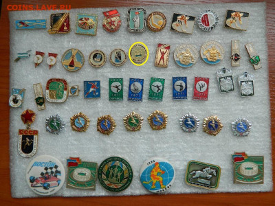 Спорт фикс до 30.03 - DSCN1237_thumb