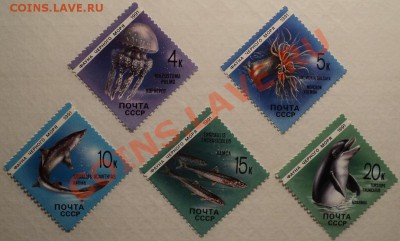 Марки СССР.Фауна.Серии!!!-2! - DSC00433.JPG