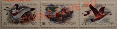 Марки СССР.Фауна.Серии!!!-2! - DSC00432.JPG