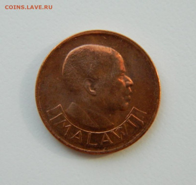 Малави 1 тамбала 1991 г. (Фауна)  до 01.04.21 - DSCN7996.JPG