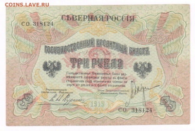 3 руб 1919г.  Северная Россия. До 31.03.21 в 22.15 - 2021-03-29 01.08.33