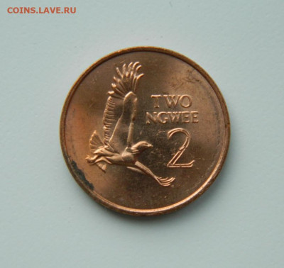 Замбия 2 нгве 1983 г.(Фауна) до 01.04.21 - DSCN7894.JPG