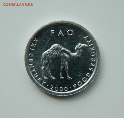 Сомали 10 шиллингов 2000 г.(ФАО) Фауна до 01.04.21 - DSCN7899.JPG