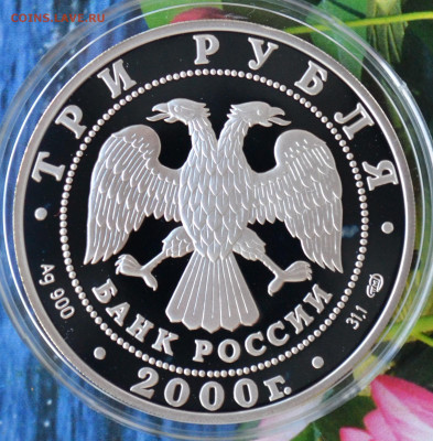 3 рубля г. Пушкин Царское Село - DSC_0057.JPG